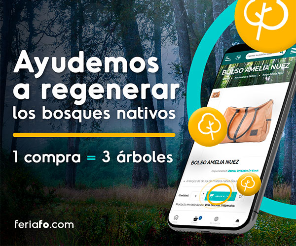 ¿Cómo tus compras pueden ayudar a regenerar los bosques?